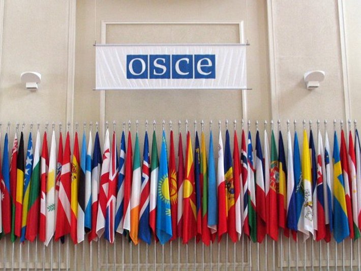 Flags of the OSCE participating states. photo c/o: OSCE/Mikhail Evstafiev